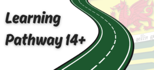 Botwm Gwefan 14+ ENG